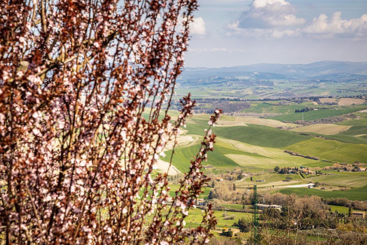 Agri Apartment La Terrazza La Ripadoro Chianni Dış mekan fotoğraf